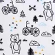 Bears and Bicycles