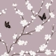 Cherry Blossom