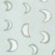 Eclipse Olive