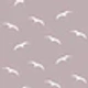 Seagull